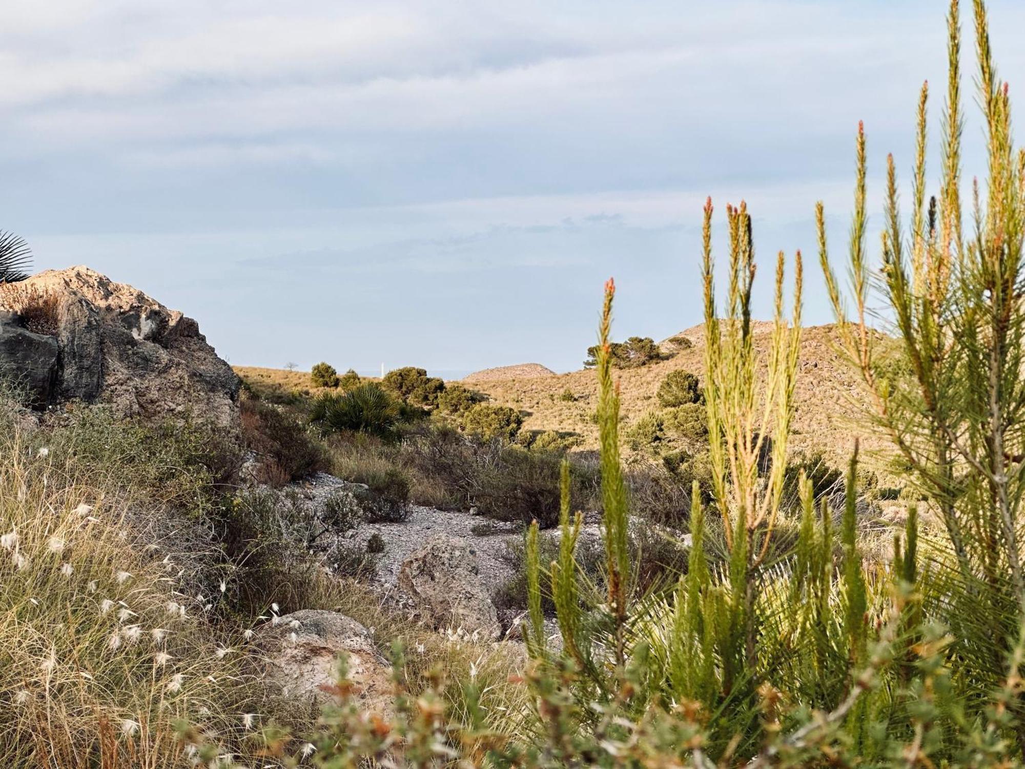Finca Ocha - Calblanque Los Belones Ngoại thất bức ảnh