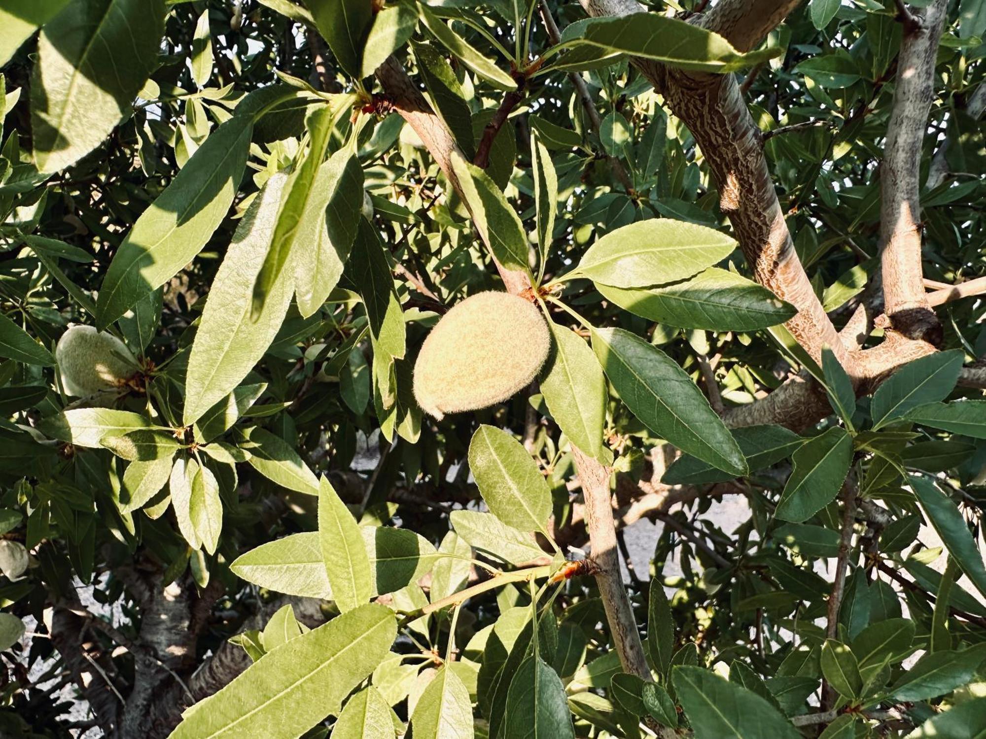 Finca Ocha - Calblanque Los Belones Ngoại thất bức ảnh