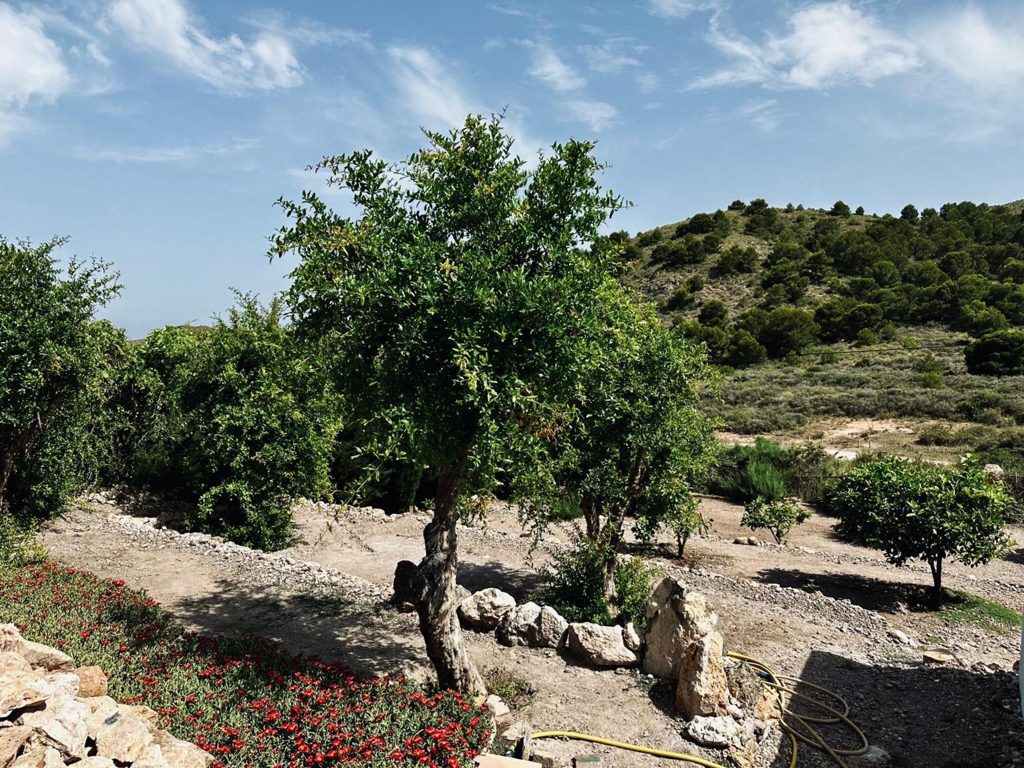 Finca Ocha - Calblanque Los Belones Ngoại thất bức ảnh