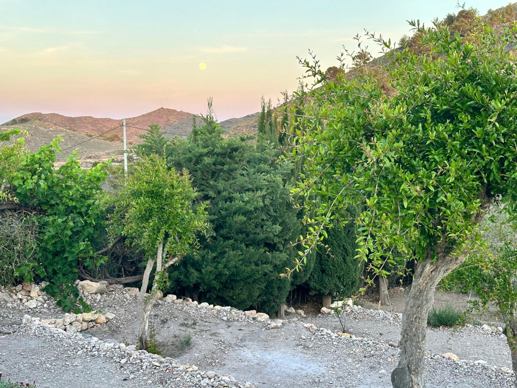 Finca Ocha - Calblanque Los Belones Ngoại thất bức ảnh