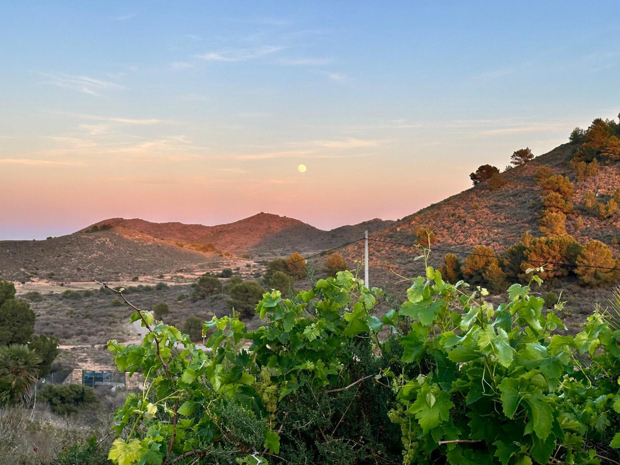 Finca Ocha - Calblanque Los Belones Ngoại thất bức ảnh