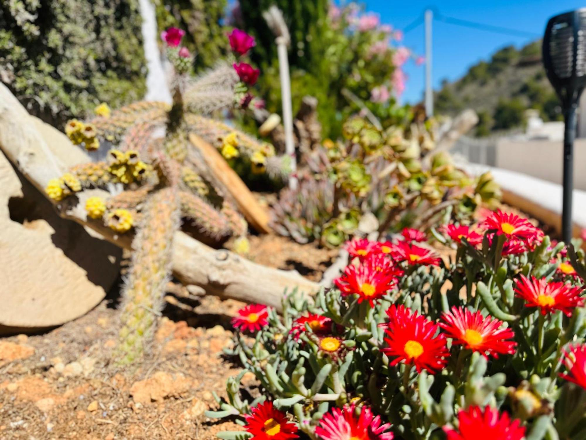 Finca Ocha - Calblanque Los Belones Ngoại thất bức ảnh
