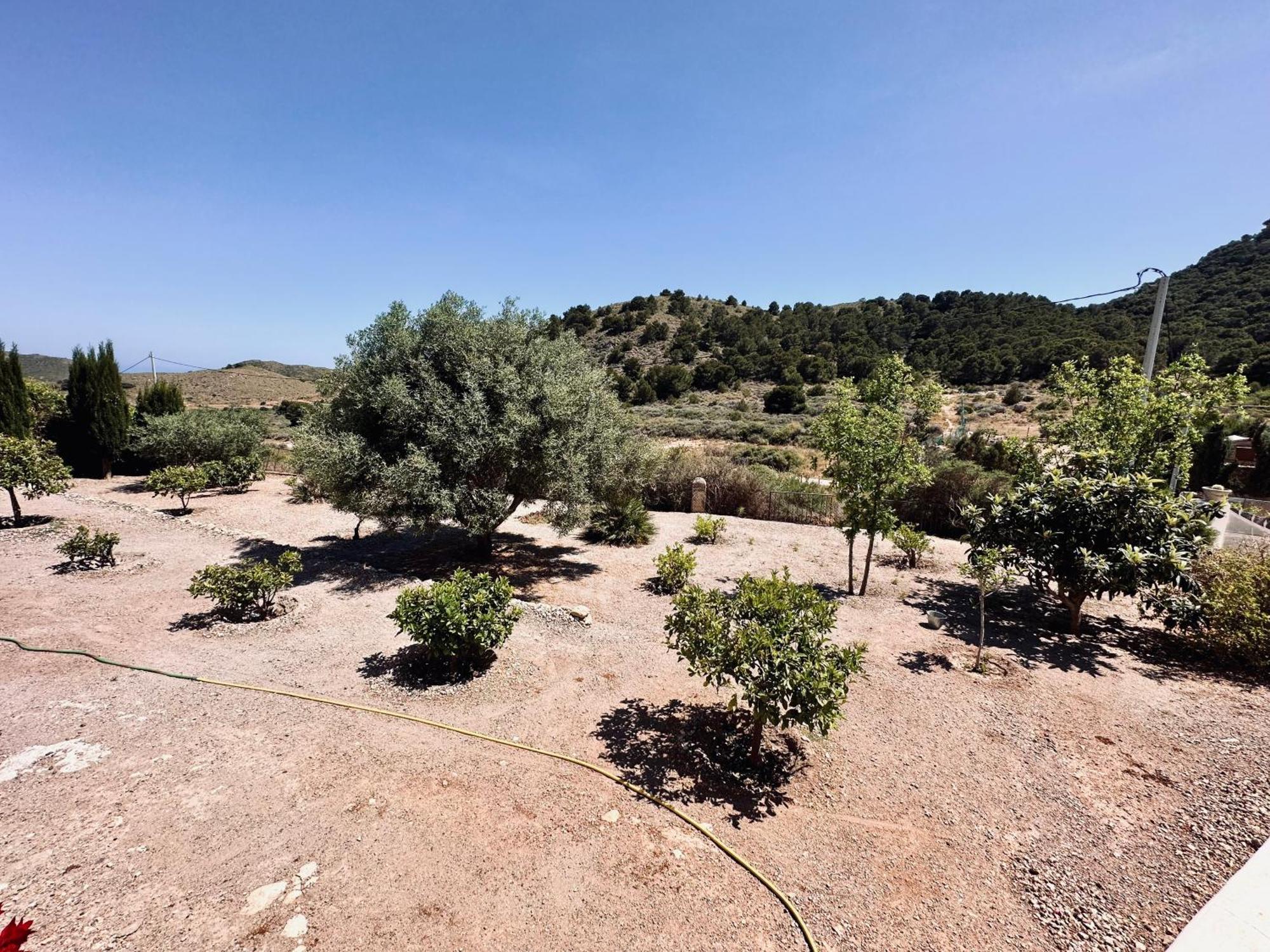 Finca Ocha - Calblanque Los Belones Ngoại thất bức ảnh