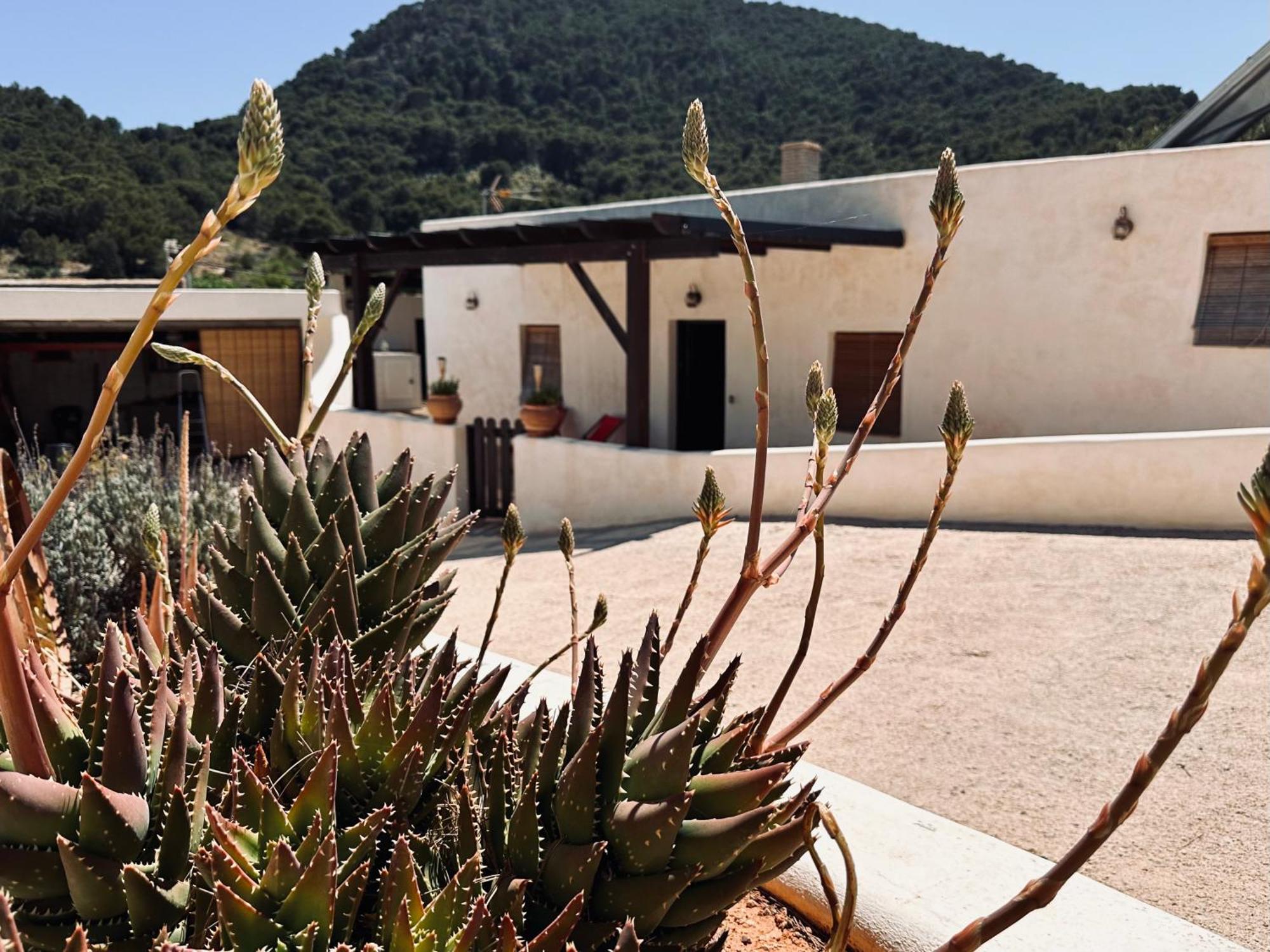 Finca Ocha - Calblanque Los Belones Ngoại thất bức ảnh